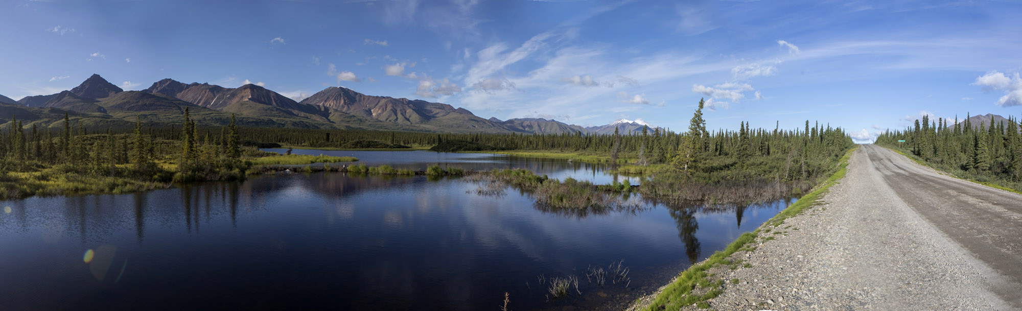 Alaska, denali, national park, state park, wilderness, nature, bart coolen, photography