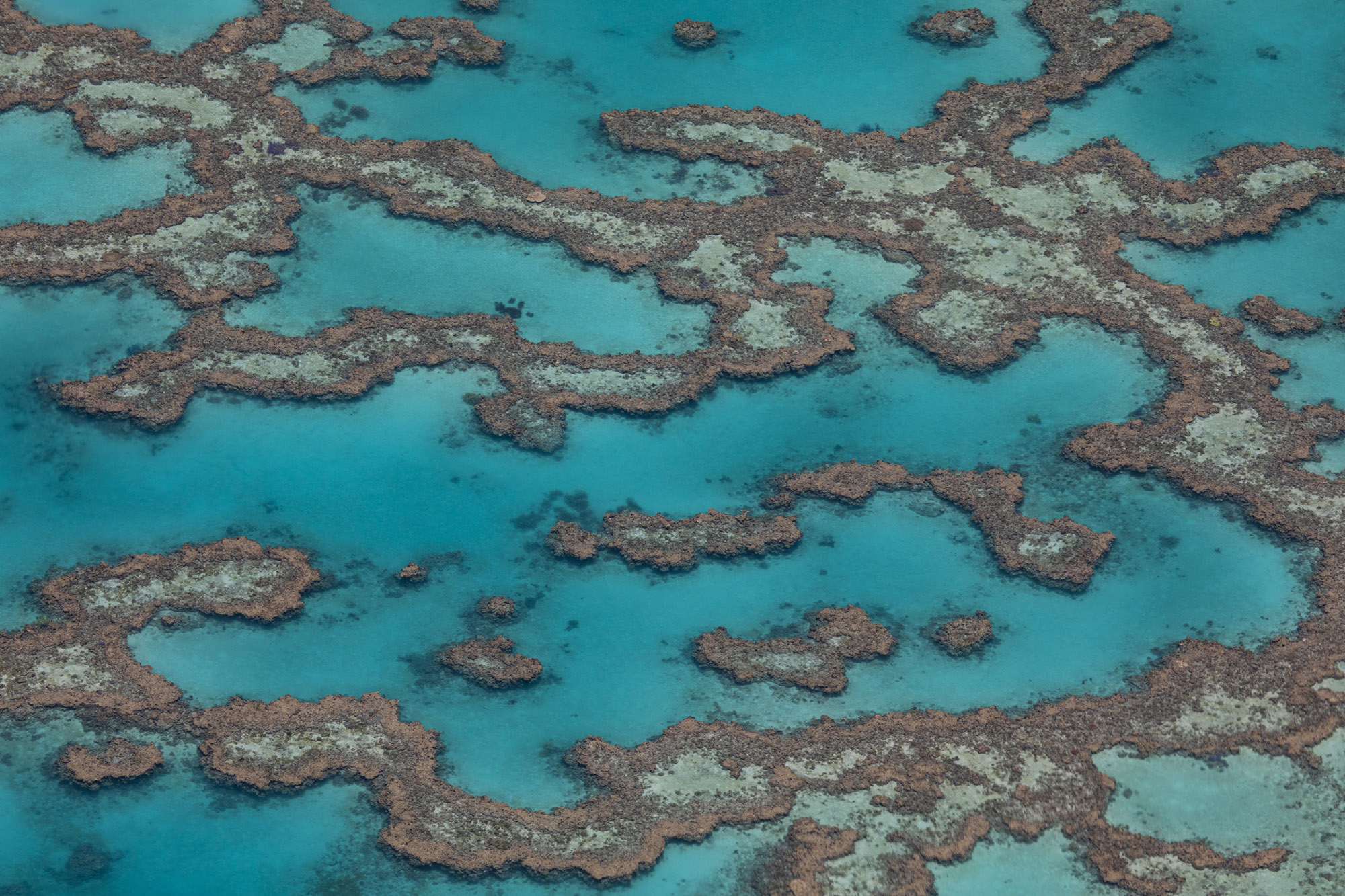 Australia, Great Barrier Reef (c) Bart Coolen 2019